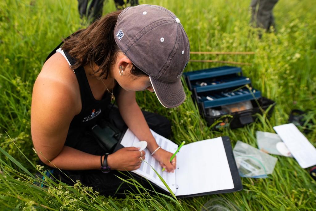 一名英国东北大学的学生在做环境实地考察时做笔记