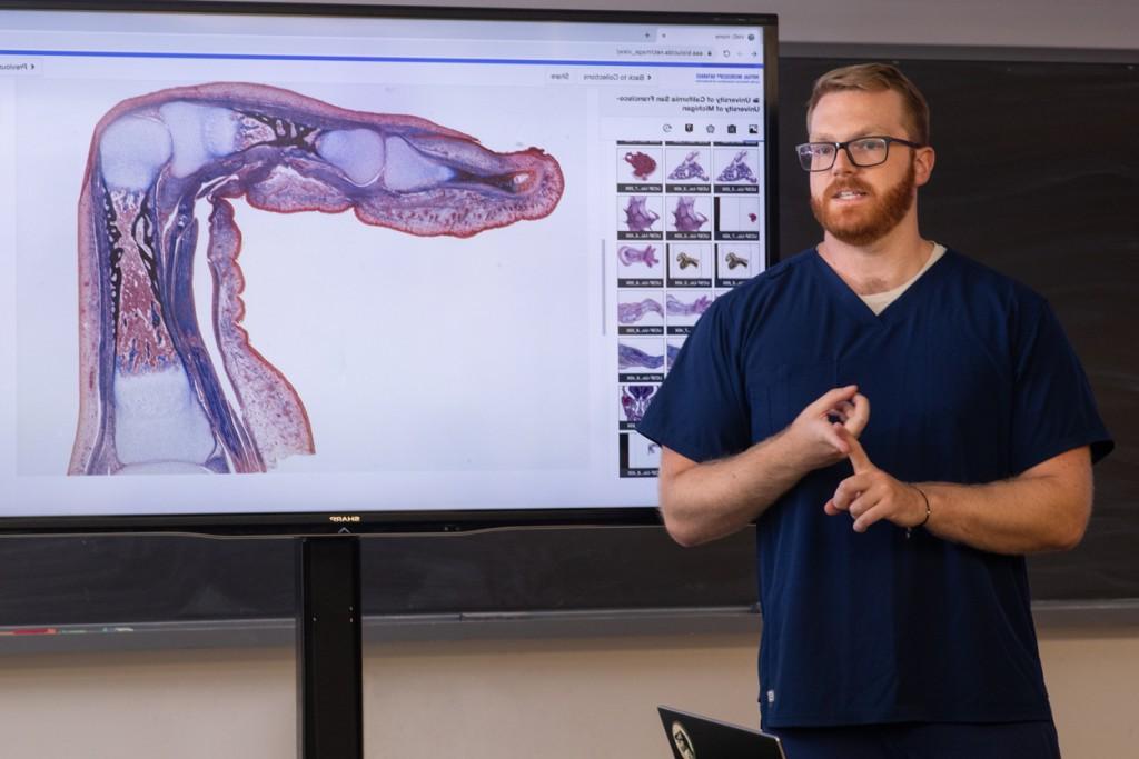 A student stands in front of a powerpoint with anatomical images in a classroom