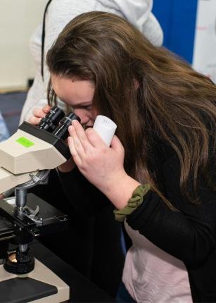 A student peers through a microscope during a U N E Brain Fair