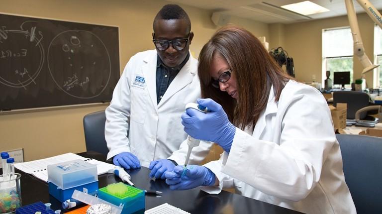 两名学生穿着实验室工作服，戴着手套在药房实验室工作