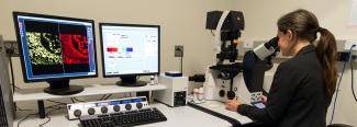 一名东北大学的学生通过显微镜观察