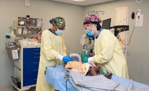 Two Nurse Anesthesia students practice on a simulator in UNE's clinical simulation center