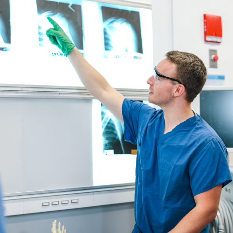 A student evaluates x-rays in the human body donor lab